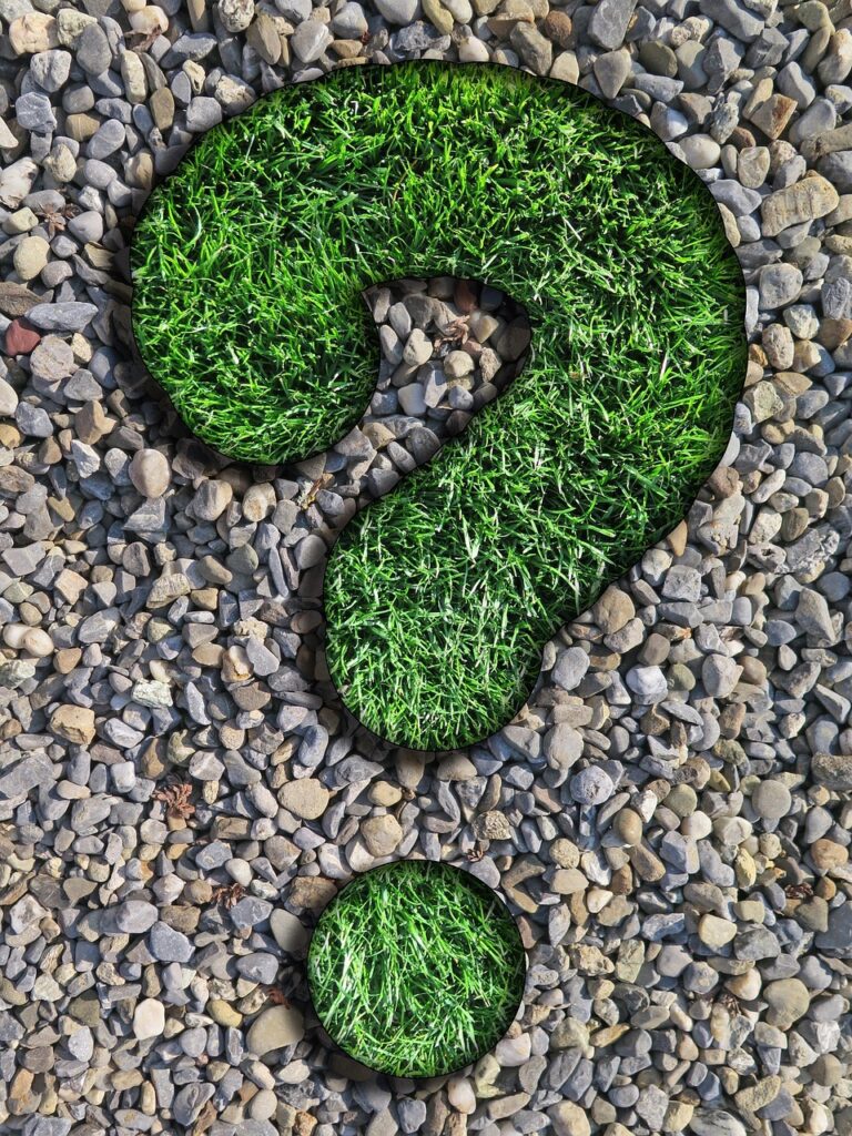 question, counselor, lawn, pebbles, question mark, nature, green, beautiful wallpaper, gray, round, background, weed, gravel, texture, iphone wallpaper